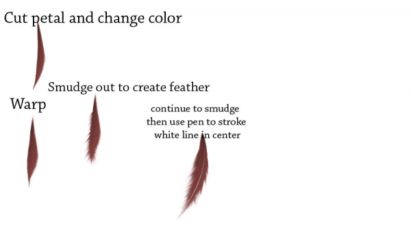 Creation of Known as Daisy: Step 5